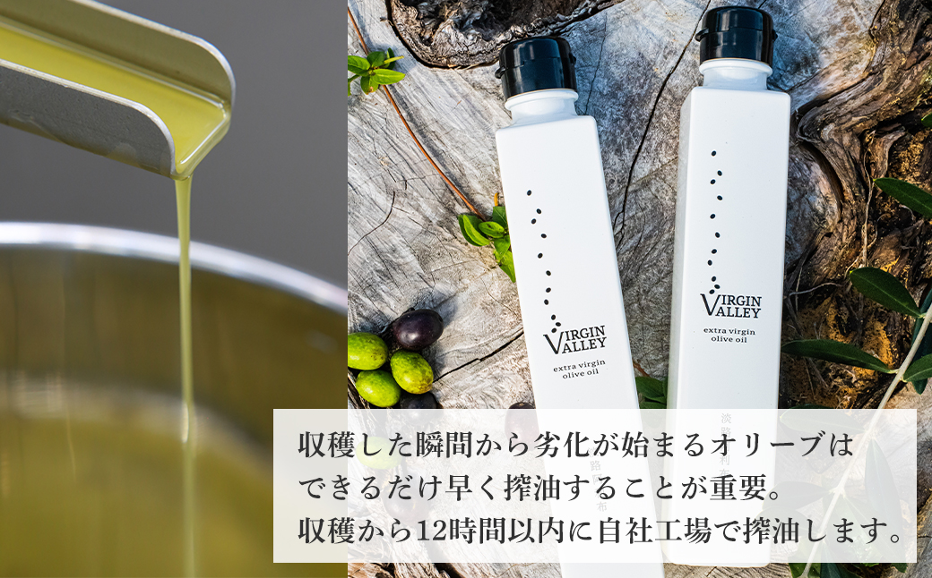 「Virgin Valley 淡路阿利布」182ｇ（エキストラバージンオリーブオイル）【2023年度産】