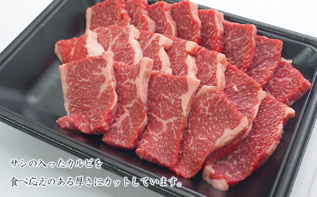 淡路牛カルビ焼肉 500g（250ｇ×2ＰＣ）　　　[カルビ 焼肉 カルビ 焼肉 カルビ 焼肉 カルビ 焼肉 カルビ 焼肉 カルビ 焼肉 カルビ 焼肉 カルビ 焼肉 カルビ 焼肉 カルビ 焼肉 カルビ 焼肉 カルビ 焼肉 カルビ 焼肉 カルビ 焼肉 カルビ 焼肉 カルビ 焼肉 カルビ 焼肉 カルビ 焼肉 カルビ 焼肉 カルビ 焼肉 カルビ 焼肉 カルビ 焼肉 カルビ 焼肉 カルビ 焼肉]