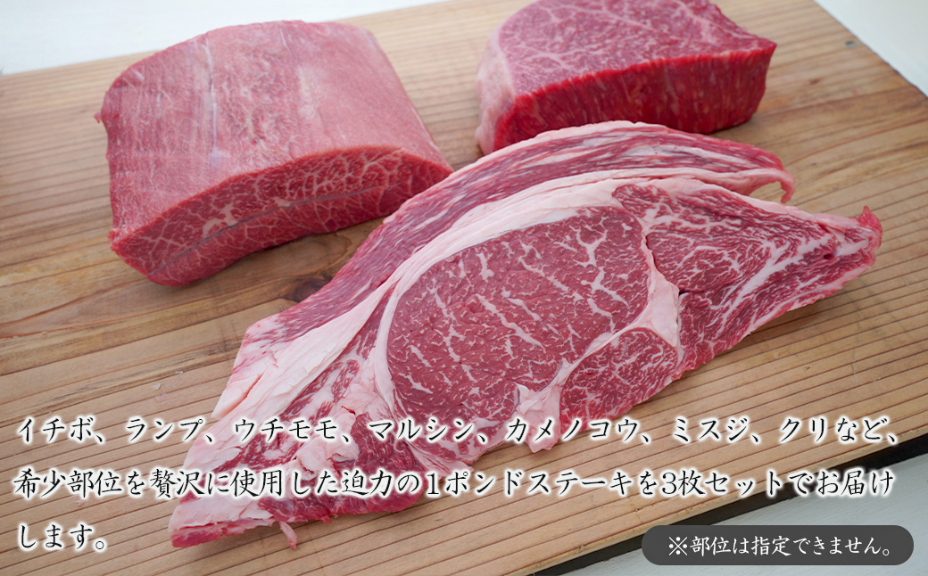 淡路牛希少部位ステーキ 3ポンド食べ比べ 約450ｇ×3枚　　[牛肉 冷凍 おすすめ]