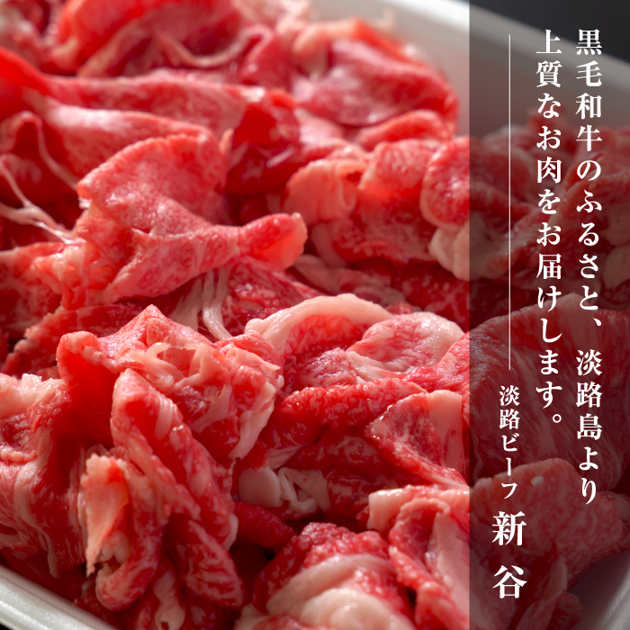 淡路ビーフ きりおとし 600g【お届け日指定返礼品】切り落とし