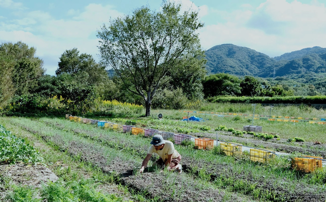èçãã 2.5kgãçºéææïŒ2026幎1æïœ3æé ã æ·¡è·¯å³¶ç£