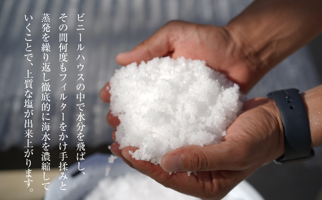 淡路島海塩 TEN-PI-EN 大粒1kg（500g×2袋）