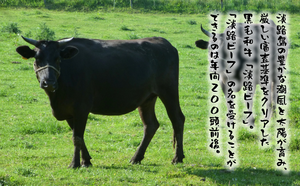 淡路島産黒毛和牛 赤身焼肉用300ｇ【淡路ビーフ】　　[焼肉 赤身 焼肉セット 赤身肉 焼肉 黒毛和牛 焼肉]