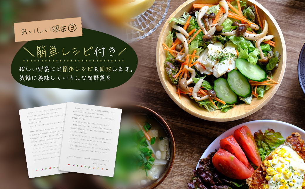 【定期便】淡路島の旬の野菜セット　１年コース（月１回×１２回）　　[野菜セット 定期便 野菜詰め合わせ 定期便 野菜セット]