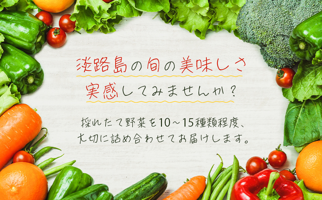 【定期便】淡路島の旬の野菜セット　１年コース（月１回×１２回）　　[野菜セット 定期便 野菜詰め合わせ 定期便 野菜セット]