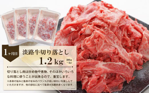 【3ヶ月コース】「淡路牛」肉の定期便　　[切り落し 小分け ハンバーグ 切り落とし すき焼き ハンバーグ]