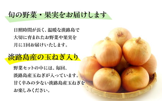 淡路島の新鮮野菜セット【休日お届け】