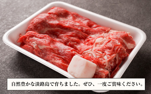 【訳あり】淡路牛すきやき・焼きしゃぶ用 600ｇ 【3D急速冷凍】　　[訳アリ すき焼き しゃぶしゃぶ 国産 牛肉 すき焼き 人気 すき焼き おすすめ]