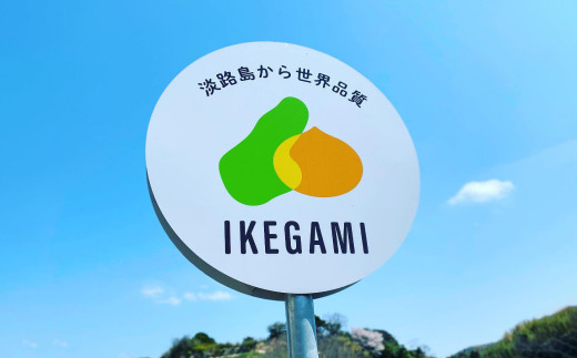 【新たまねぎ】淡路島 池上農場の「あやたけ」5kg【発送時期：2025年3月下旬～5月頃】