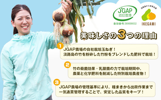 【定期便】淡路島 池上農場の完熟たまねぎ「あやたけ」12ヶ月コース　　[玉ねぎ 玉葱 淡路島 玉ねぎ たまねぎ]