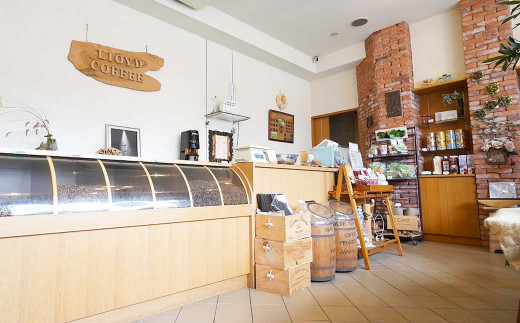 ロイドコーヒースペシャルブレンド（ドリップパック）10g×5個　自家焙煎 ドリップ コーヒー