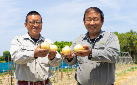 【新たまねぎ】名手農園の淡路島特産玉ねぎ 5kg【発送時期：2025年3月～5月頃】　　[玉ねぎ 玉葱 タマネギ 玉ねぎ 淡路島産 玉ねぎ 玉ねぎ]