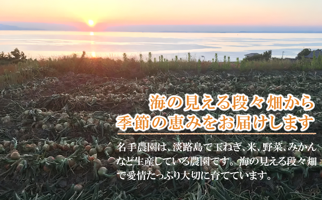 【新たまねぎ】名手農園の淡路島特産玉ねぎ 5kg【発送時期：2026年3月～5月頃】　[たまねぎ 玉ねぎ]
