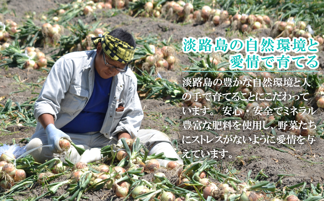 【新たまねぎ】名手農園の淡路島特産玉ねぎ 5kg【発送時期：2026年3月～5月頃】　[たまねぎ 玉ねぎ]