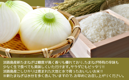 【新たまねぎ】淡路島産こしひかり2kg＋淡路島産たまねぎ5kgセット【発送時期：2025年4月～5月頃】　　[コシヒカリ 玉ねぎ コシヒカリ たまねぎ コシヒカリ 玉ねぎ]