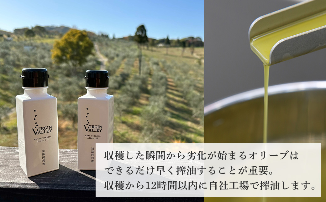6本セット！「Virgin Valley 淡路阿利布」91ｇ（エキストラバージンオリーブオイル）【2024年度産】