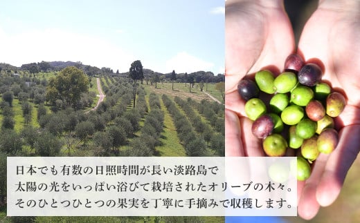 12本セット！「Virgin Valley 淡路阿利布」182ｇ（エキストラバージンオリーブオイル）【2024年度産】