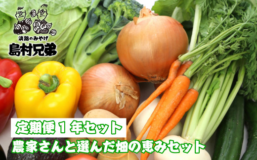 【定期便１年セット】農家さんと選んだ畑の恵みセット　　[野菜セット 野菜セット 野菜セット 野菜セット 野菜セット]