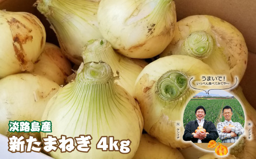 淡路島産　新たまねぎ　4ｋｇ【発送時期：2025年3月～5月頃】