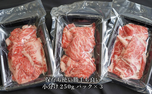 縲仙ョ壽悄萓ソ6繝カ譛医 豺。霍ッ迚 繝ュ繝シ繧ケ蛻繧願誠縺 750g (250gテ3繝代ャ繧ッ)縲縲[蟆丞縺 蜀キ蜃 迚幄i 莠コ豌余