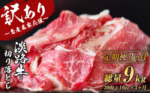 【訳あり】【定期便3ヶ月】淡路牛 切り落し 3kg (300g×10パック）　　[切り落とし 牛肉 切り落とし 定期便 切り落とし 定期便 切り落とし 定期便 切り落とし 定期便 切り落とし 定期便 切り落とし 定期便 切り落とし]