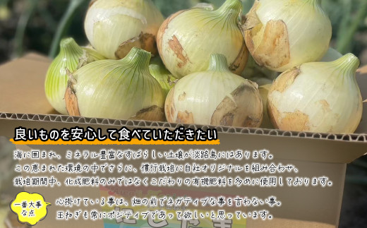 まるでフルーツ？！淡路島産ブランド新玉ねぎ 極早生 「にじたま」5kgダンボール入り【発送時期2025年2月中旬～3月頃】