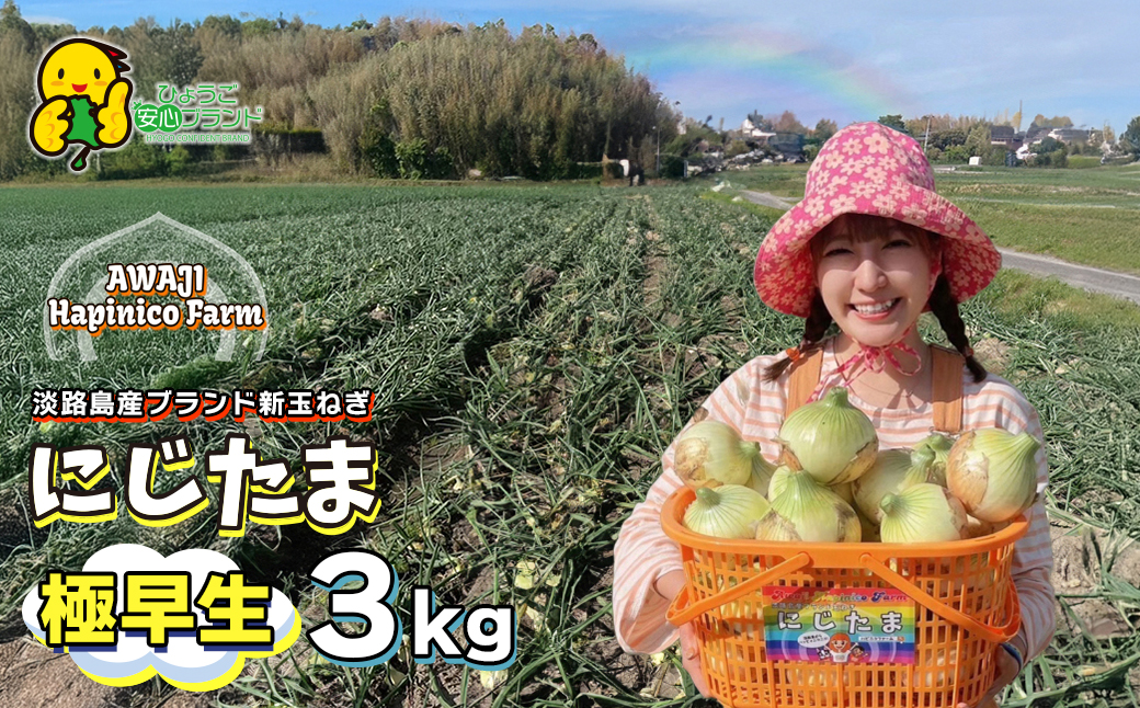 淡路島産ブランド新玉ねぎ 極早生 「にじたま」  3kgダンボール入り【発送時期2026年2月中旬～4月頃】