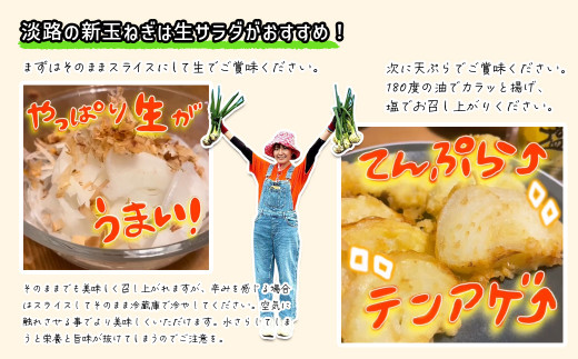 淡路島産ブランド新玉ねぎ 極早生 「にじたま」  3kgダンボール入り【発送時期2026年2月中旬～4月頃】