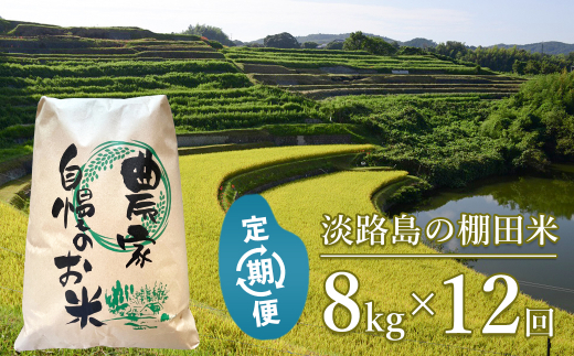 【定期便】淡路島の棚田米 ８kg×１２回（毎月発送）　　[米 お米 精米 白米]