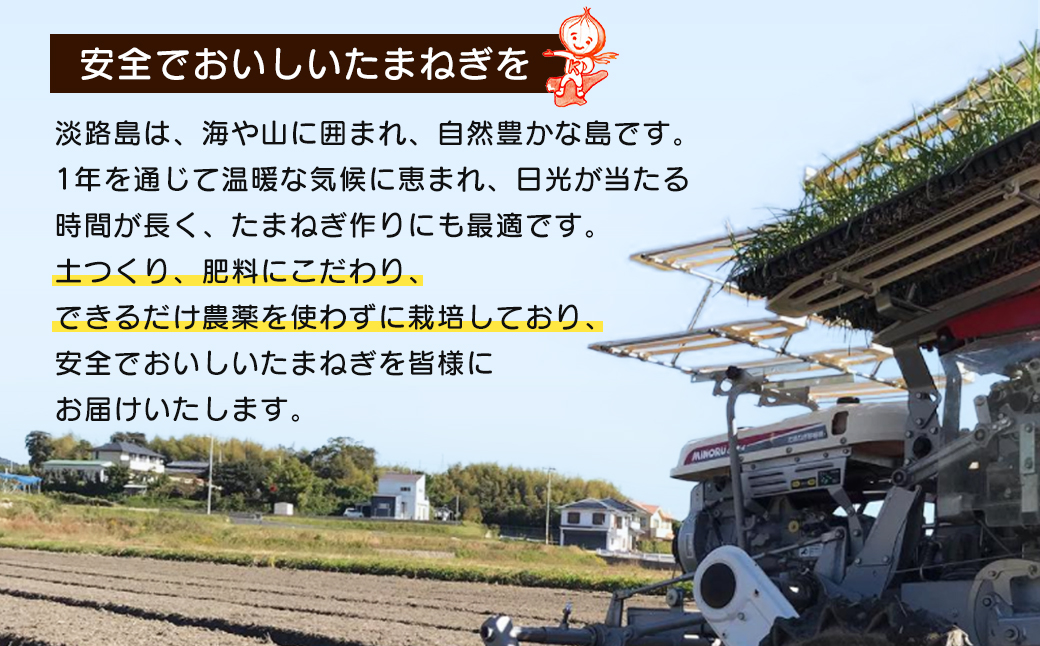 【新たまねぎ】淡路島たまねぎ 歩-AYUMU- 2kg【発送時期：2025年3月～6月上旬頃】　　[玉ねぎ 玉葱 タマネギ 玉ねぎ 淡路島産 たまねぎ]