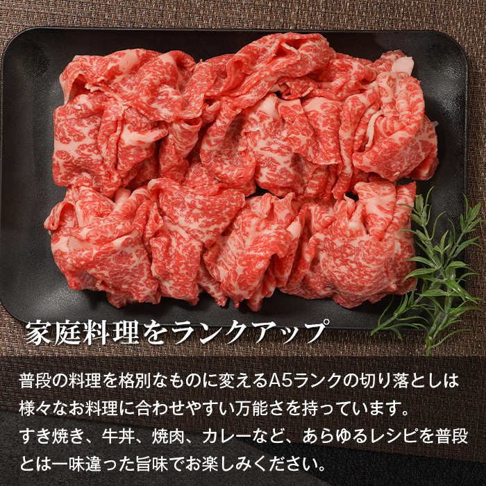 【A5ランク】淡路島産黒毛和牛 切り落とし 500g 切り落し