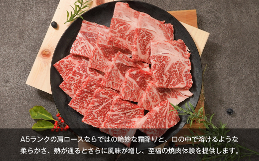 【A5ランク限定】淡路島産黒毛和牛 焼肉用肩ロース 500g　　[神戸ビーフ 焼肉 神戸ビーフ 焼肉セット 国産 神戸ビーフ 牛肉]