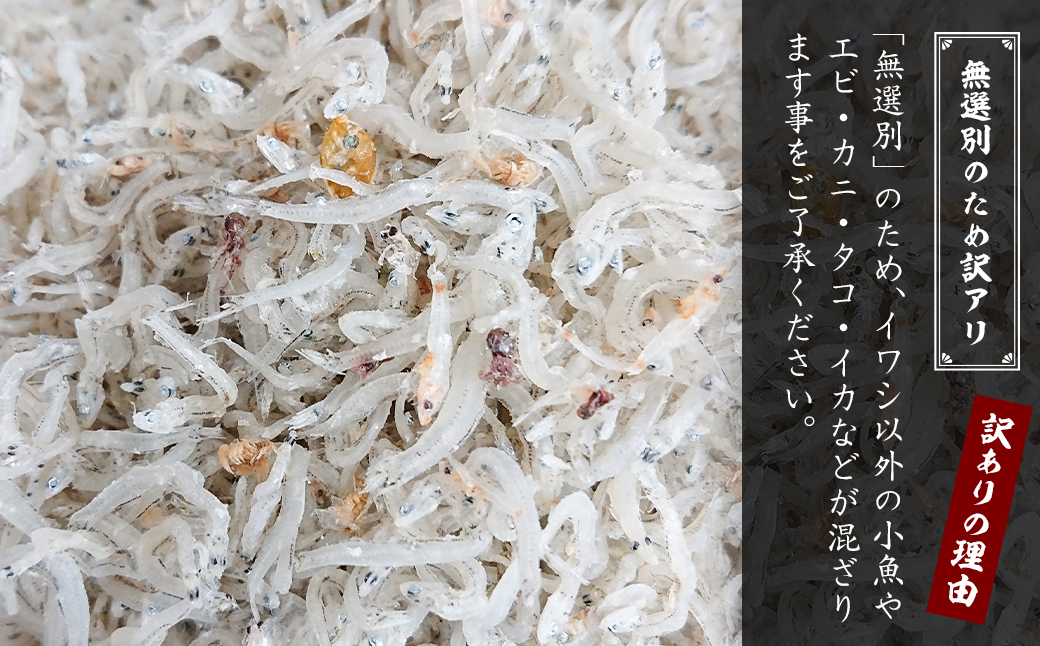 【訳アリ】淡路島産 無選別ちりめん 600g（100g×6袋）　　 [訳あり ちりめん]