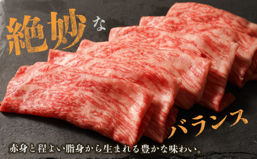 淡路牛 赤身肉　すき焼き・しゃぶしゃぶ用スライス　約500g　　[牛肉 すきやき シャブシャブ すき焼き しゃぶしゃぶ 国産 赤身]