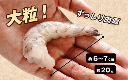 至福の大粒むきえび　背ワタ処理済 1kg　　[むきえび 冷凍 ムキエビ ブラックタイガー 大型 むきえび]