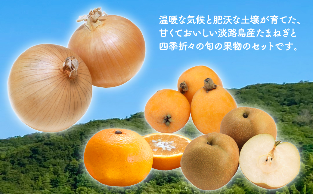 【新たまねぎ】淡路島産たまねぎ5kgと旬の果物少々セット【発送時期：2025年4～5月頃】