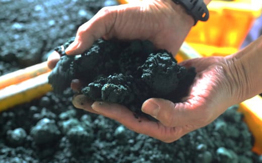 お香 SOZO（ソウゾウ） 春夏秋冬&心 2点セット　　[線香 お供え お香 人気 インセンス アロマ 墓参り 仏具 線香]