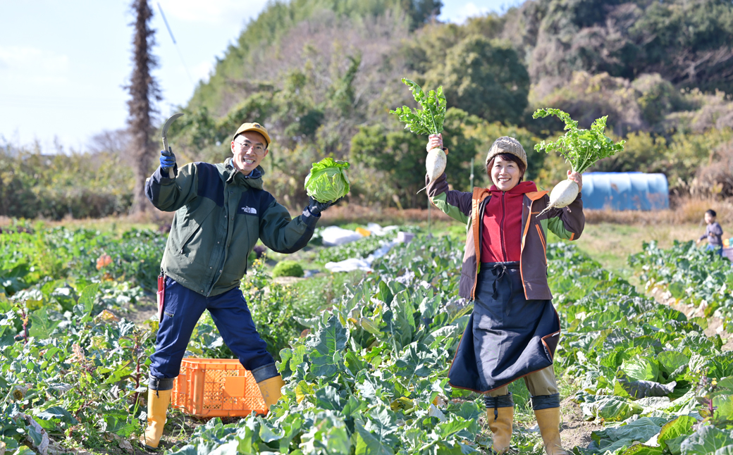 【定期便】ご家庭向けお野菜セット～旬のおまかせBOX～春夏秋冬4回分