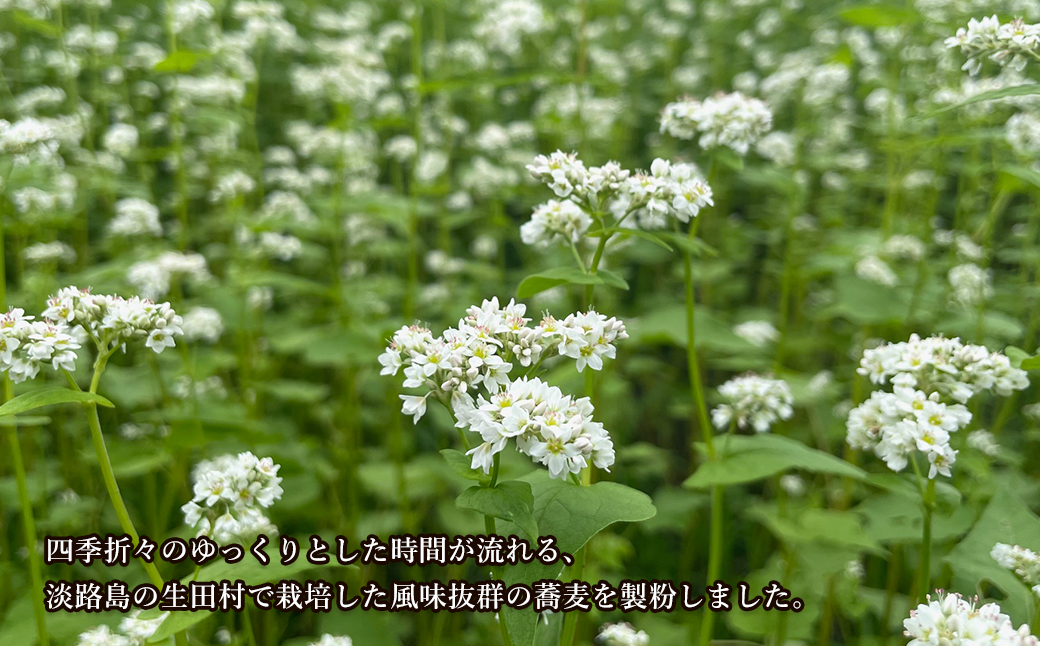 淡路島のそば粉 1.5kg（500g×3袋）