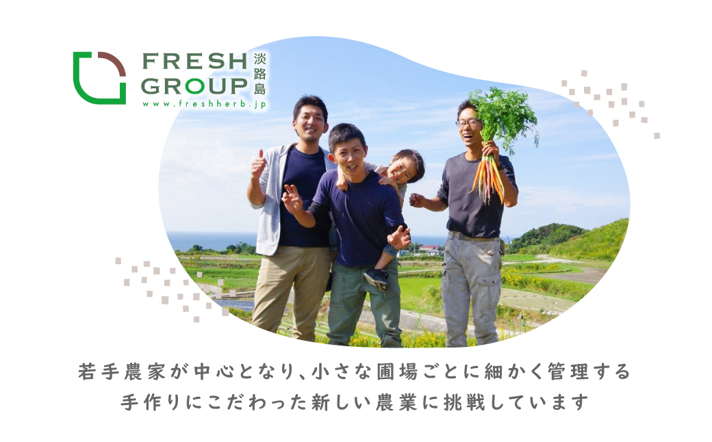 【定期便】彩り野菜と香るハーブセット　１２回お届けセット　　[野菜セット 野菜詰め合わせ]