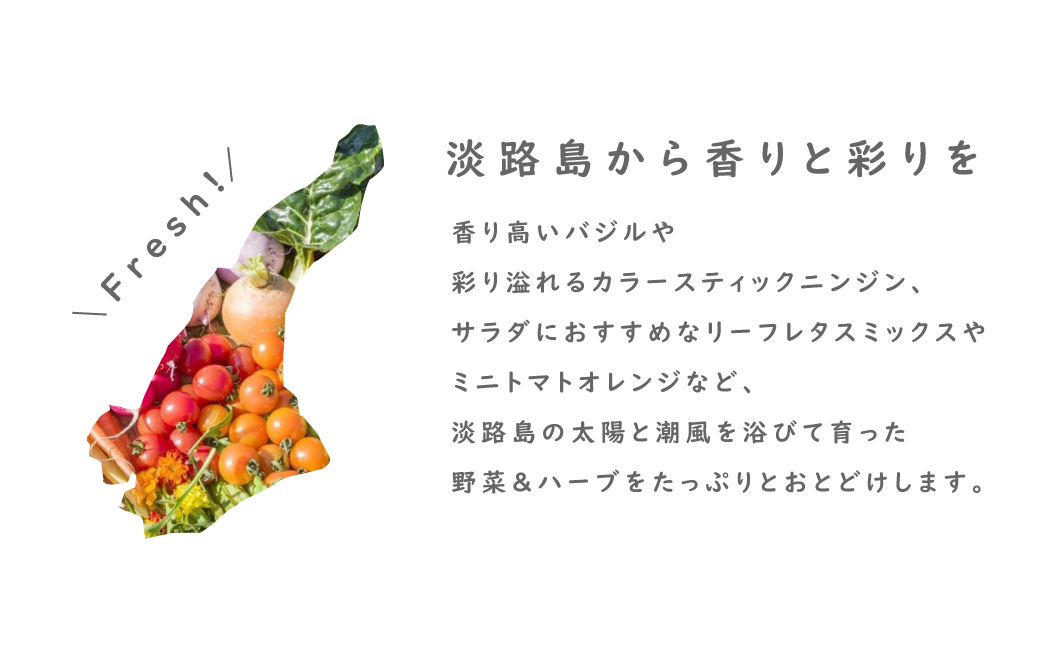 フレッシュグループ淡路島彩り野菜と香るハーブセット　　[野菜セット 農家直送 野菜セット 詰め合わせ 野菜セット 野菜セット 野菜セット 野菜セット 野菜セット 野菜セット 野菜セット 野菜セット 詰め合わせ 野菜セット 野菜セット 野菜セット 野菜セット 野菜セット 野菜セット 野菜セット 野菜セット 野菜セット 野菜セット 野菜セット 野菜セット 野菜セット 野菜セット]