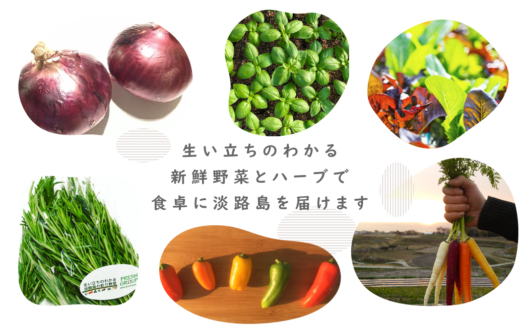 フレッシュグループ淡路島彩り野菜と香るハーブセット　　[野菜セット 農家直送 野菜セット 詰め合わせ 野菜セット 野菜セット 野菜セット 野菜セット 野菜セット 野菜セット 野菜セット 野菜セット 詰め合わせ 野菜セット 野菜セット 野菜セット 野菜セット 野菜セット 野菜セット 野菜セット 野菜セット 野菜セット 野菜セット 野菜セット 野菜セット 野菜セット 野菜セット]