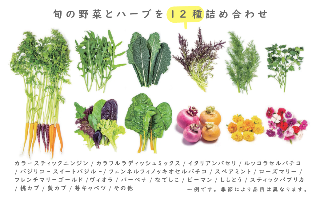 フレッシュグループ淡路島彩り野菜と香るハーブセット　　[野菜セット 農家直送 野菜セット 詰め合わせ 野菜セット 野菜セット 野菜セット 野菜セット 野菜セット 野菜セット 野菜セット 野菜セット 詰め合わせ 野菜セット 野菜セット 野菜セット 野菜セット 野菜セット 野菜セット 野菜セット 野菜セット 野菜セット 野菜セット 野菜セット 野菜セット 野菜セット 野菜セット]