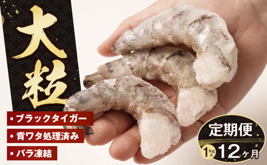 【定期便12ヶ月】至福の大粒むきえび　背ワタ処理済 1kg　　[むきえび ムキエビ むきえび ブラックタイガー ムキエビ むきえび 大粒 ムキエビ むきえび 大型 ムキエビ むきえび ムキエビ むきえび ムキエビ むきえび ムキエビ むきえび ムキエビ むきえび ムキエビ むきえび ムキエビ むきえび ムキエビ むきえび ムキエビ]