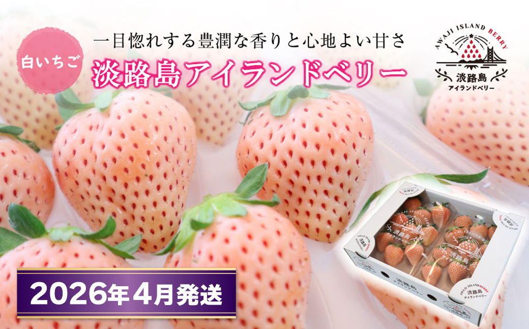 淡路島アイランドベリー 白苺淡雪【2026年4月発送予約受付・お届け日指定不可】　白いちご