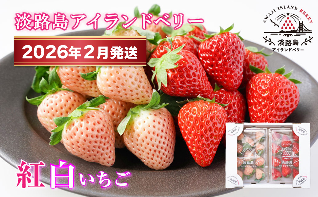 淡路島アイランドベリー　紅白いちご　淡雪/とちおとめ【2026年2月発送予約受付・お届け日指定不可】　[いちご]
