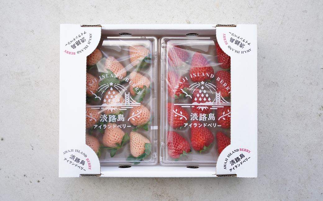 淡路島アイランドベリー　紅白いちご　淡雪/とちおとめ【2026年2月発送予約受付・お届け日指定不可】　[いちご]