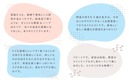 【定期便】彩り野菜と香るハーブセット　３回お届けセット　　[野菜セット 定期便 野菜詰め合わせ 定期便 野菜セット]