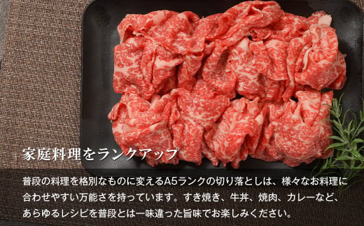 【定期便3ヶ月】【A5ランク限定】淡路島産黒毛和牛 切り落とし 500g【神戸ビーフ】