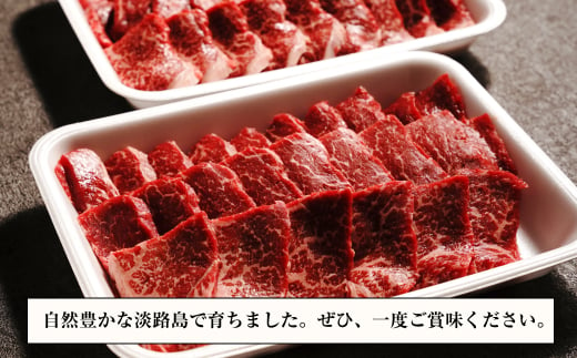 淡路牛 赤身焼肉セット 1kg（500g×2P) 【3D急速冷凍】 　　[赤身 焼肉 赤身肉 焼肉セット 牛肉 焼肉]